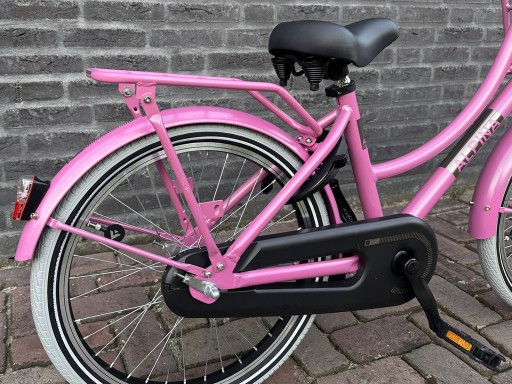 20 inch Alpina Cargo Fuchsia Pink Matt - Alpina_Cargo_20_Fuchsia_Pink_Matt_03.jpg